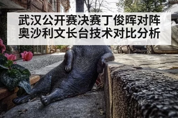武汉公开赛决赛丁俊晖对阵奥沙利文长台技术对比分析